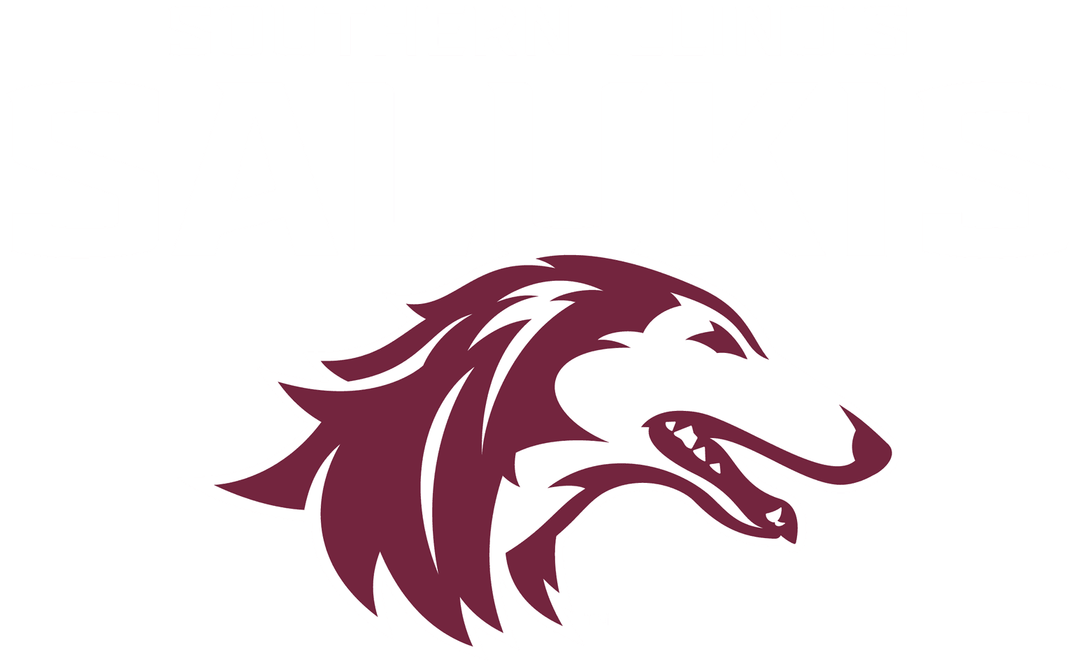 Southern Illinois University