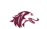 Southern Illinois University banner logo