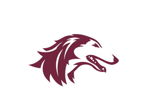 Southern Illinois University banner logo